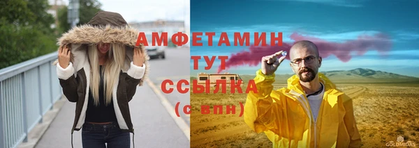 прущий лед Новозыбков