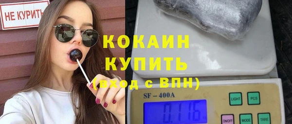 прущий лед Новозыбков
