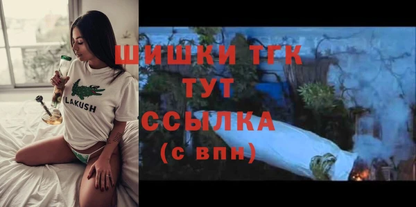 прущий лед Новозыбков