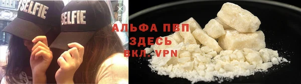 Альфа ПВП Новодвинск