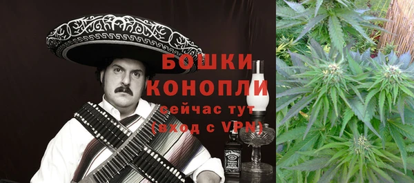 прущий лед Новозыбков