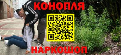 гидра Краснокаменск