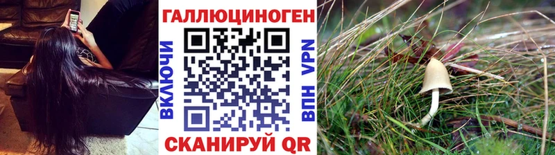 Галлюциногенные грибы MAGIC MUSHROOMS Печора