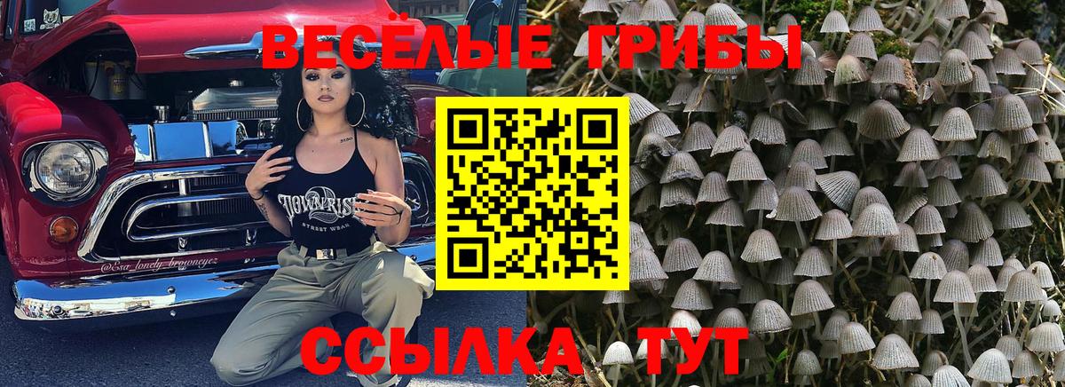 Псилоцибиновые грибы MAGIC MUSHROOMS Печора